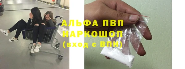 не бодяженный Бородино