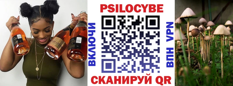 Псилоцибиновые грибы прущие грибы  Купить где  Пущино 